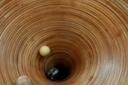 Immagini dalla mostra