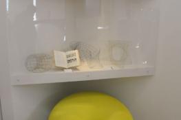 Immagini dalla mostra